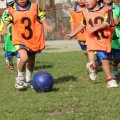 3～6才は運動能力を伸ばす黄金期！なでしこジャパン フィジカルコーチが解説