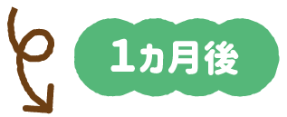 １か月後