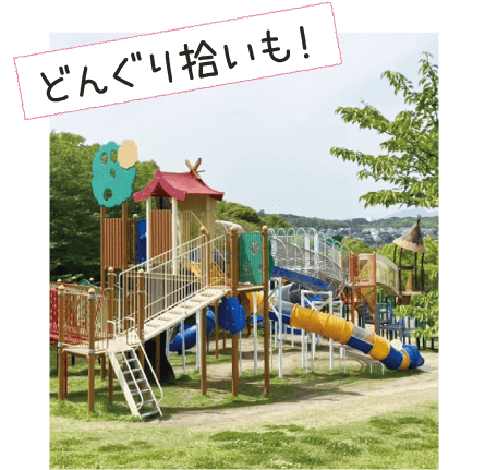 どんぐり拾い