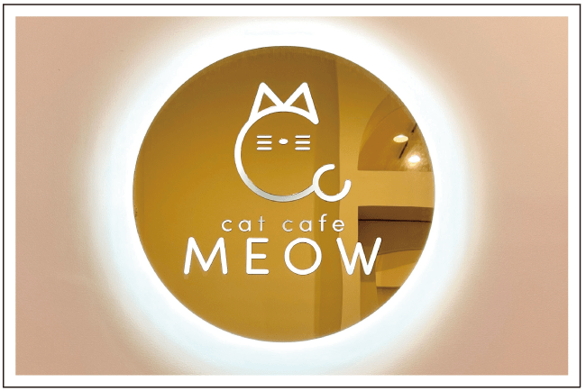 リトルトリップー猫カフェ